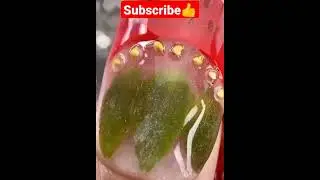 Easy strawberry 🍓 nail art that everyone can #nailart #shorts #youtubeshorts #besto