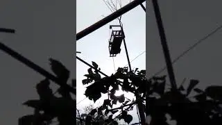 Ловля щегла на западок Томского типа