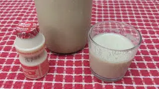 Yakult natural com lactobacilos vivos