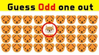 Can you Find the #cute #puppy Odd one out? #findtheoddemojiout #challenge by @Insightbuzz