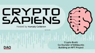 Building an NFT Project | Crypto Bushi, Co- founder DAO Punks.