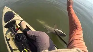2013 Fall Highlights