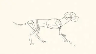 Real animator Training exercise: Canter Animation Cycle