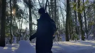 Лесной Удон с курицей и овощами