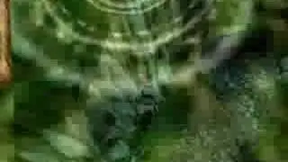 River Death