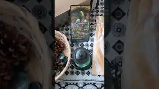 ШЕСТЁРКА КУБКОВ ВЕКТОР ЗНАЧЕНИЯ