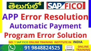 SAP FICO APP Error Resolution - SAP FICO Automatic Payment Program Error Solution -SAP FICO training