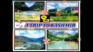 A Trip To Kashmir| Kashmir Trip|| Kashmir Tour|| Pahalgam Kashmir|| Kashmir Beauty|| Kashmir Tourism