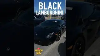 BLACK LAMBORGHINI — the dark side of speed! 🖤🔥