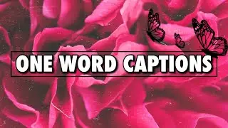 ONE WORD CAPTIONS FOR INSTAGRAM | YASMIN AKHTAR