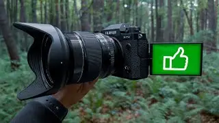 Плюсы и достоинства Fujifilm X-T4 (спустя год использования)