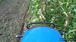 фрезування кукурудзи