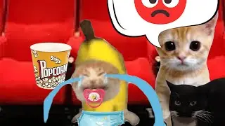 BANANA CAT 🍌🐱 BABY EATS OTHER CAT'S FOOD AND HIDES IN PORTA-POTTY - SAD STORY