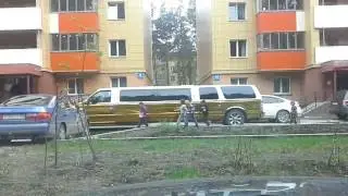 Золотистый форд