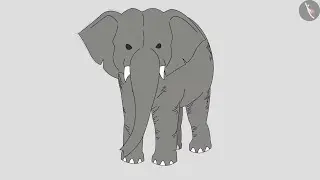 Class 4 EVS Chapter 3 A Day With Nandu cbse ncert Environmental studies Looking around