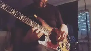 Greets from the shed! The weather outside got me in the mood!