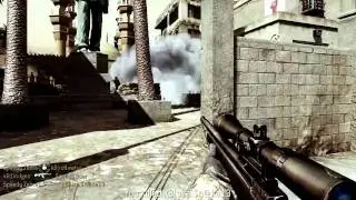 Zebra Goes Huge! :D
