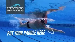5 Ways To Improve Your Breathing In Freestyle