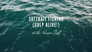 Fishing in Persian Gulf with Berkley Gulp! Alive! Scented Soft Baits