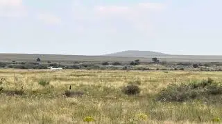 SCHEMPP-HIRTH ARCUS M TAKING OFF RWY 17 AT MORIARTY 0E0 AIRPORT 