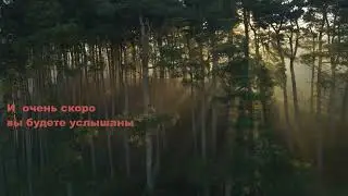 NOORLIGHT! - SOLARIS альбом атмосферного фонка