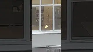 Скелет в кабинете биологии 💀 | Мася