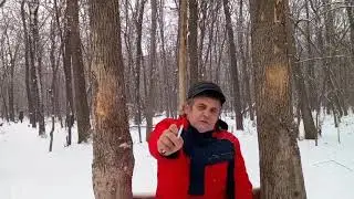 Обзор сигарет Rothmans Demi от легендарного КамАЗа...