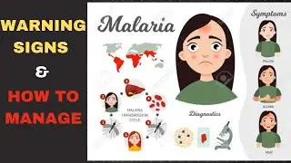 Warning Signs of Malaria | Malaria Symptoms | Malaria Treatment