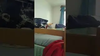 Комната и кровать в летнем лагере