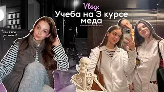VLOG: УЧЕБА В МЕДЕ НА 3 КУРСЕ |  КАК ПРОХОДЯТ ПАРЫ???