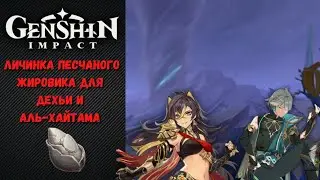 Where to quickly collect the Sand Grease Pupa for Alhaitham and Dehya | Genshin Impact | Subtitles