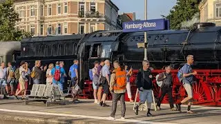 Dampfzug DB 012 104-6 (01 1104) | Bahnhof Hamburg-Altona | 2024-07-20