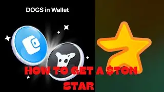 How to Get GAS for STARS in DOGS Airdrop: Step-by-Step Guide