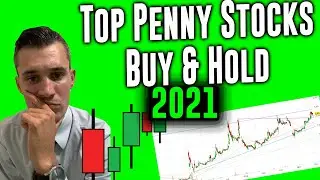 Top Penny Stocks To Buy & Hold in 2021 | 5X Potential