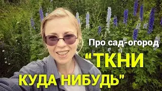 У меня дачи нет, по этому я посажу огород на твоей. Просто дневник Константиновой.