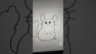 Just a little guy