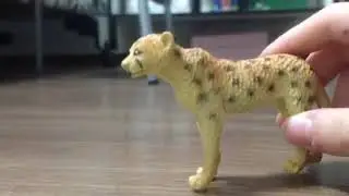 Обзор: новогодняя мечта!