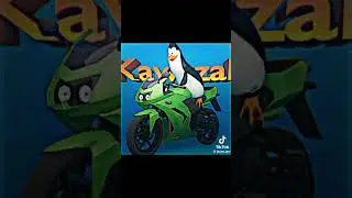 Los Pingüinos me la van a mascar