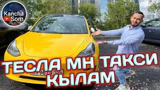 ТЕСЛА МН ТАКСИ КЫЛЫП КОРСОМБУ