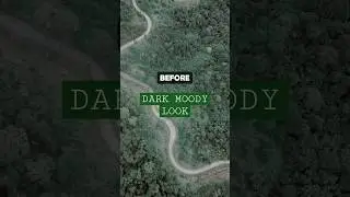 Dark and Moody Presets Pack 
