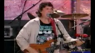 The Band - Remedy - 8/13/1994 - Woodstock 94