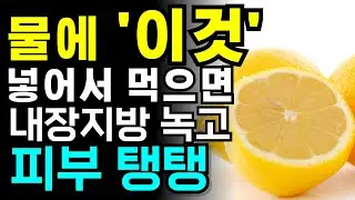 레몬 물의 놀라운 효능! 체중 감량과 피부 건강을 위한 최강의 비법 레몬물 레몬수 건강정보