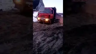 6 марта 2020 г.