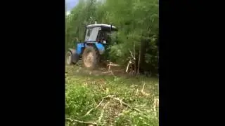 Расчистка заросших полей и лесополос