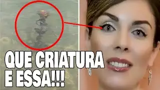 OS MELHORES VÍDEOS DE EXTRATERRESTRES!