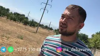 Миноксидил - калай заказ кылса болады? Калай алса болады? Кай жерден алса болады?