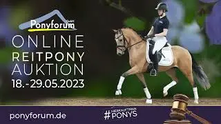 Das glaubt uns keiner Stute 2017 v. FS Don´t Worry / Top Champy