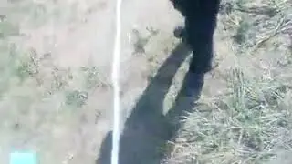Как правильно сломать воздушного змея(очень просто)!