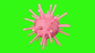 Coronavirus    | Green Screen: Chroma Key Full 1080p HD