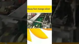 How to cut a mango with pit for fried mango mango slicer